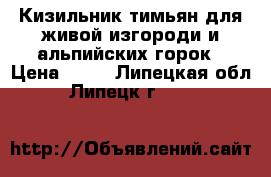 Кизильник тимьян для живой изгороди и альпийских горок › Цена ­ 50 - Липецкая обл., Липецк г.  »    